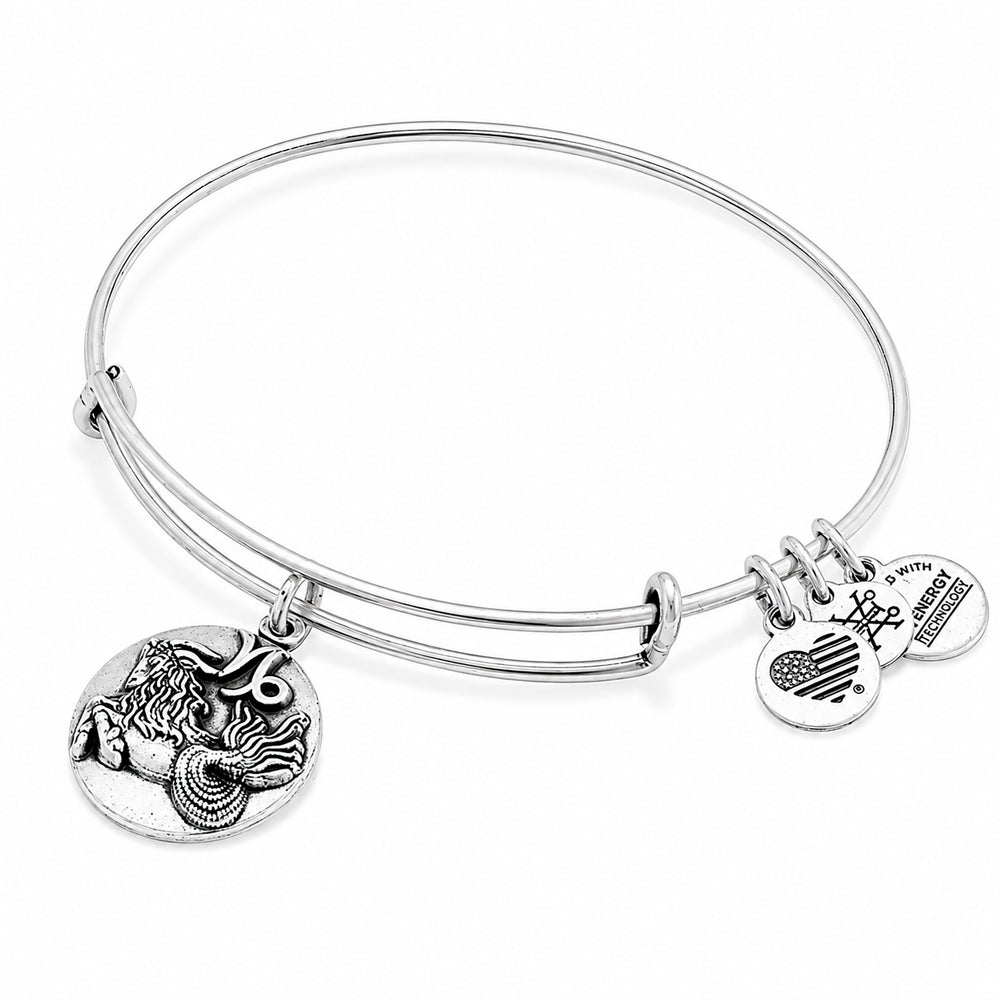 ALEX AND ANI A16EB51RS