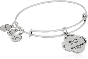 ALEX AND ANI A16EB67RS