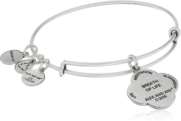 ALEX AND ANI A16EB67RS