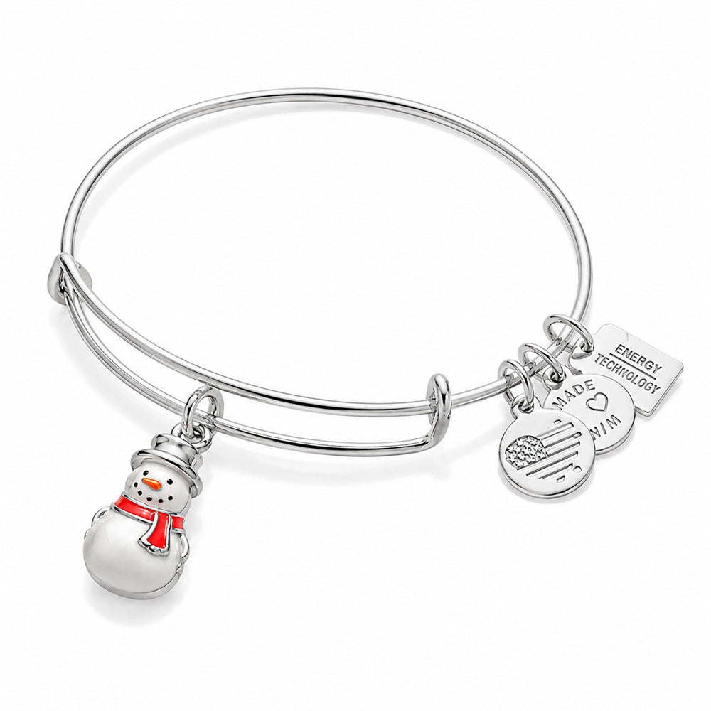 ALEX AND ANI A16EB91SS