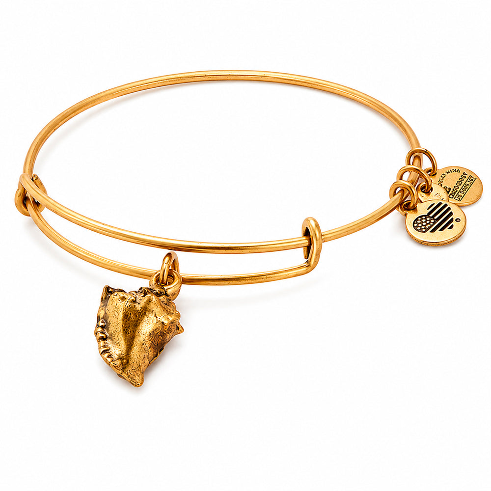 ALEX AND ANI A17EB73RG