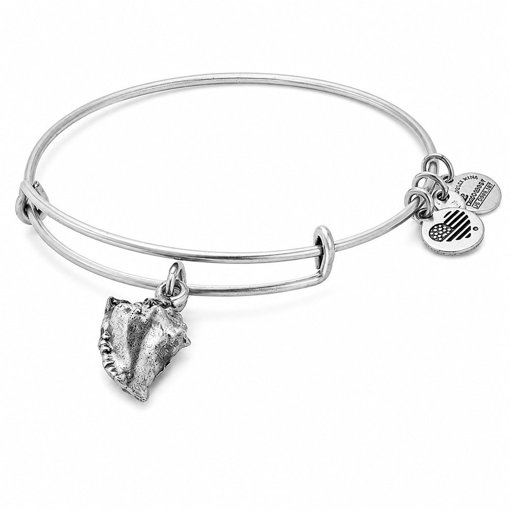 ALEX AND ANI A17EB73RS