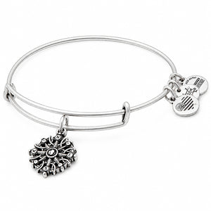 ALEX AND ANI A17EBCOMPRS