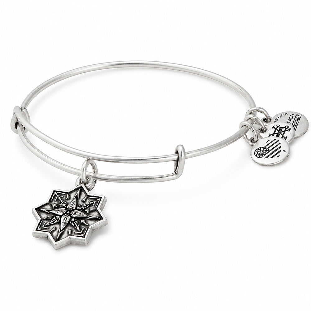 ALEX AND ANI A17EBHLRS