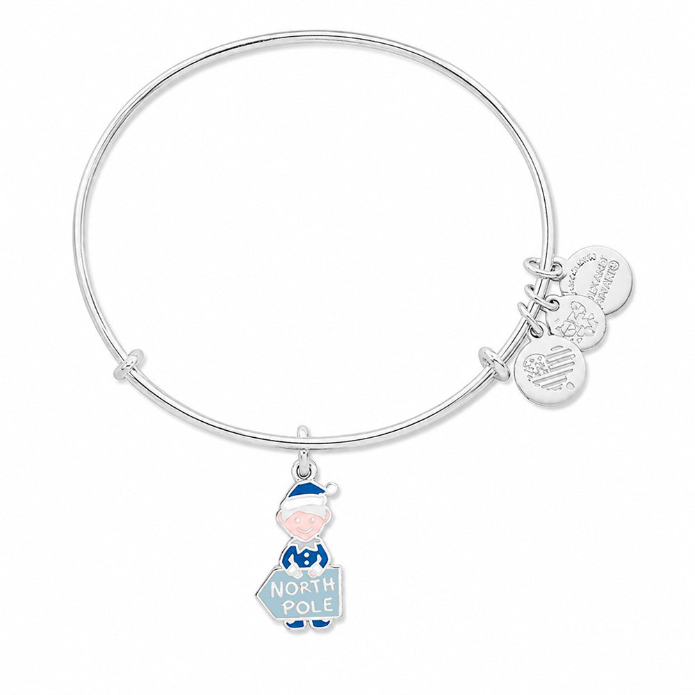 ALEX AND ANI A17EBHOL02SS