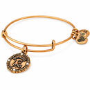 ALEX AND ANI A18BILY04RG