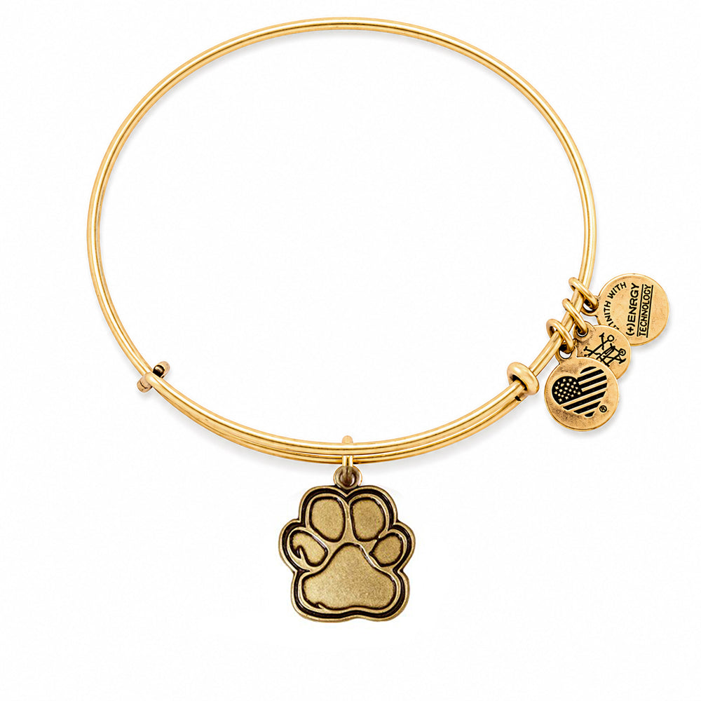 ALEX AND ANI CBD14POLRG