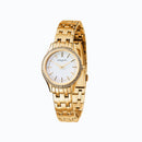 PIERRE CARDIN CF.0611.SE.G