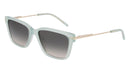 DKNY DK713S5617310