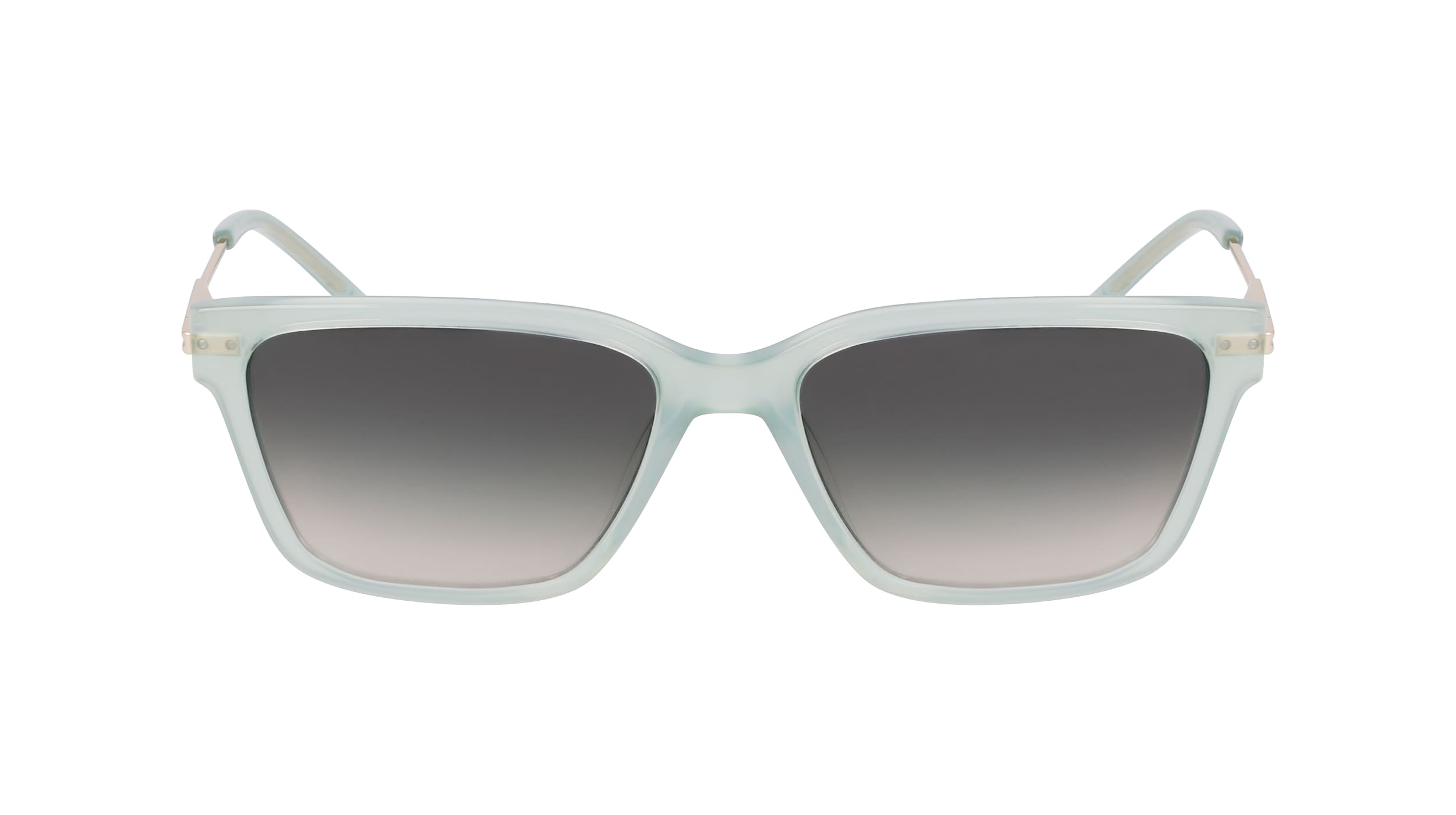 DKNY DK713S5617310