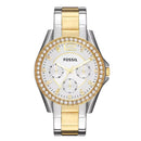 FOSSIL ES3204