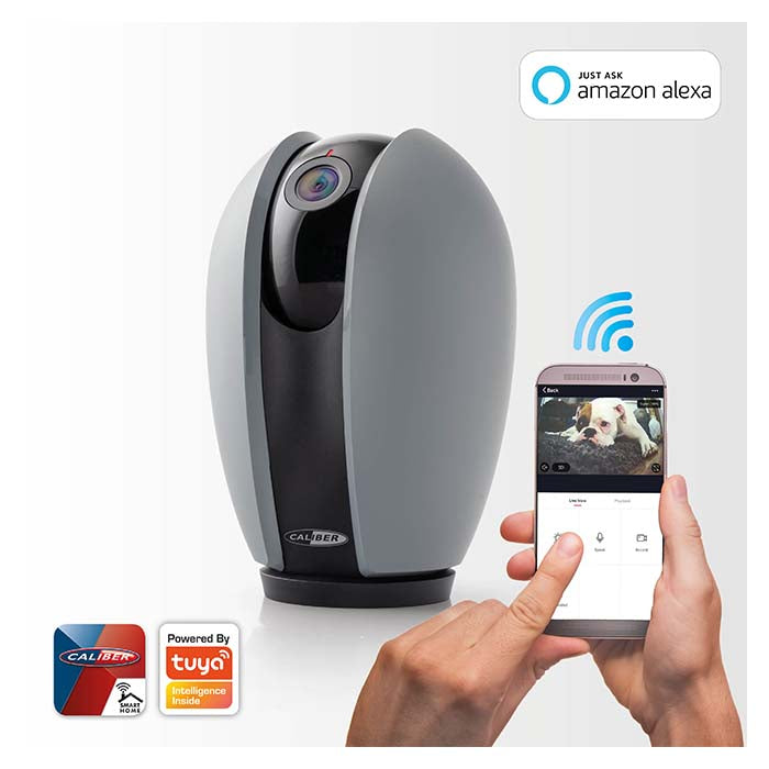 Ip Kamera - pan og tilt - caliber