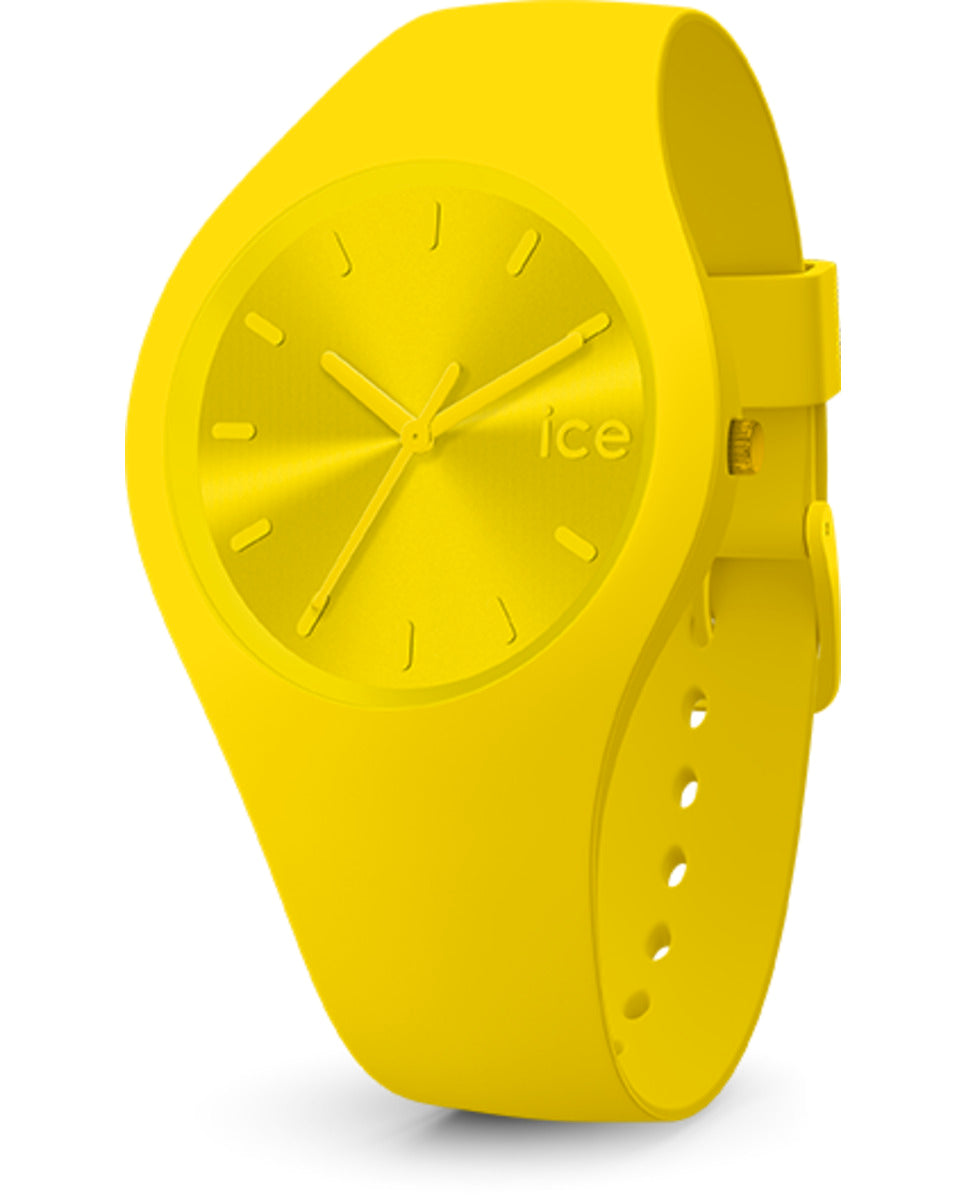 ICE IC017909