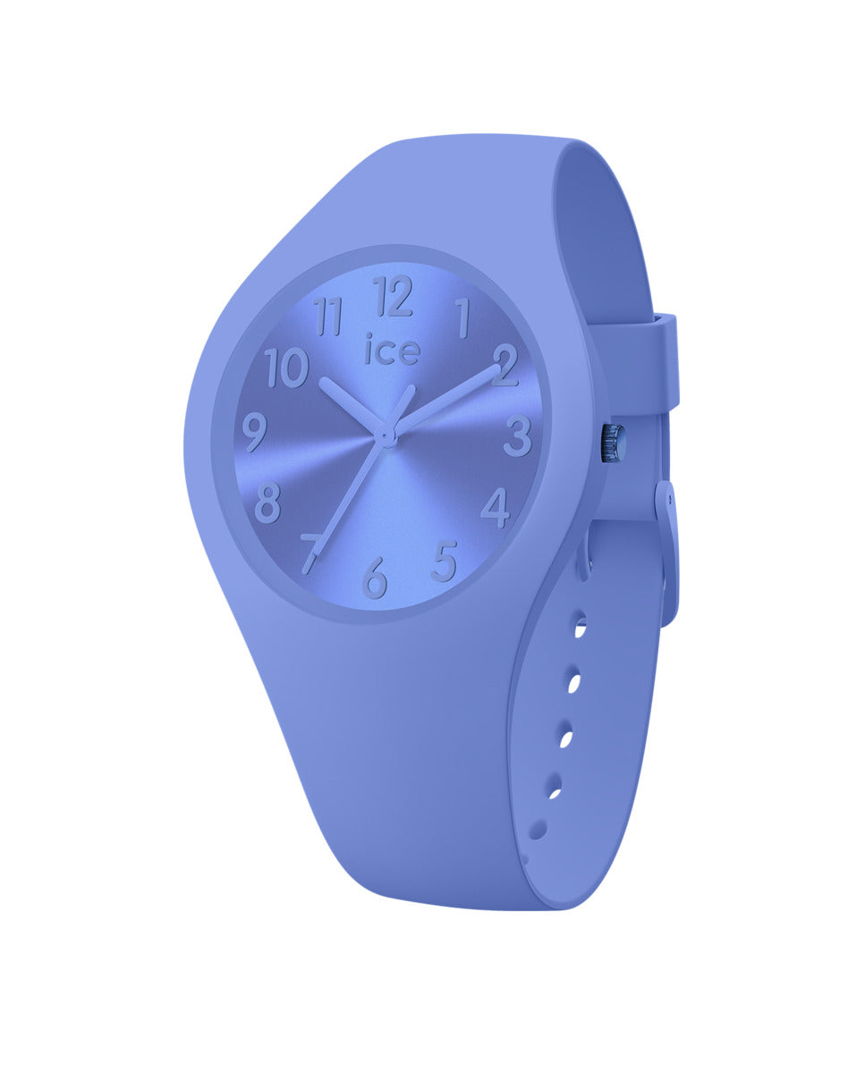 ICE IC017913