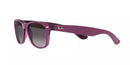 RAY BAN RB2132-6606M3