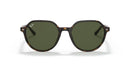 RAY BAN RB2195-902-31
