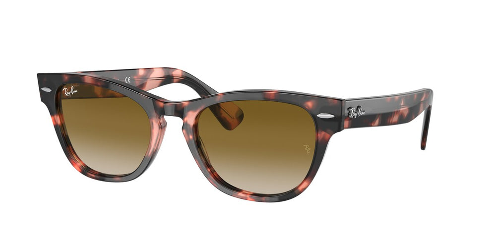 RAY BAN RB2201-133451