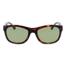SERENGETI SS557001