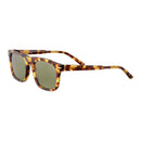 SERENGETI SS576006