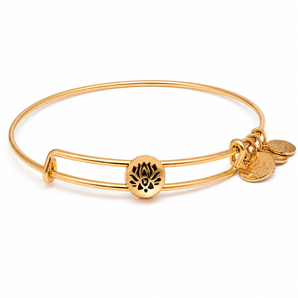ALEX AND ANI SSEWB10G