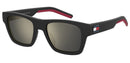 TOMMY HILFIGER TH1975NS003