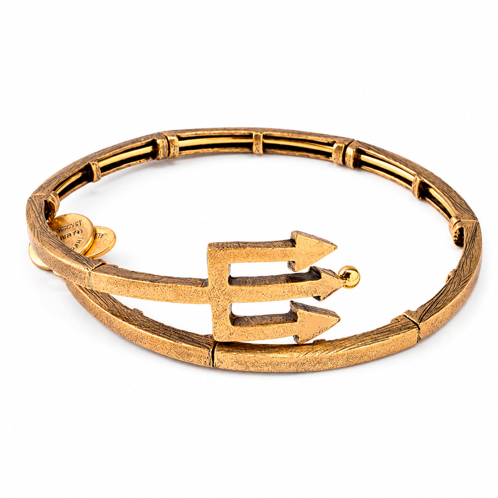 ALEX AND ANI V16W30RG