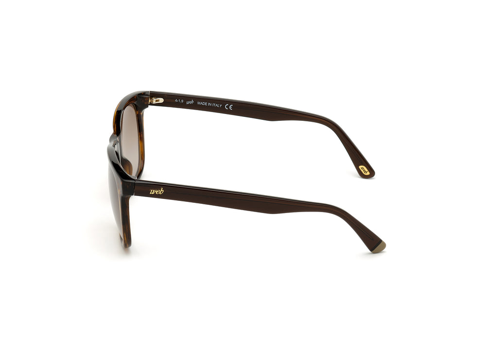 WEB EYEWEAR WE0279-5652G