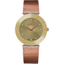 BELLEVUE F106