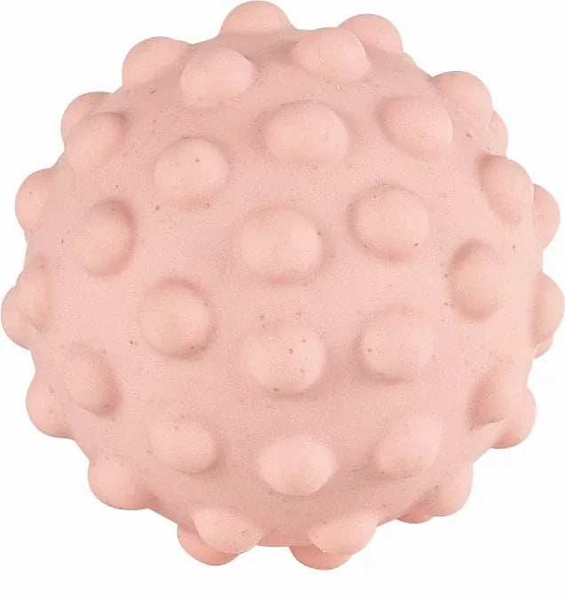 Bioplast Sansebold (6 Stk.) – Kinder and Kids