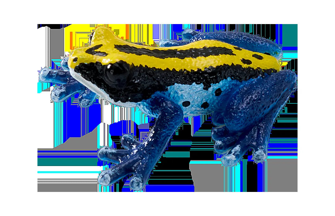 Giftig dartfrø figur, blå, pædagogisk samlerlegetøj – Mojo