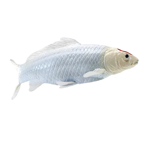 Koi karpe figur – Rødplet, håndmalet plastik model, 12,6 cm – Mojo