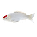Koi karpe figur – Rødplet, håndmalet plastik model, 12,6 cm – Mojo