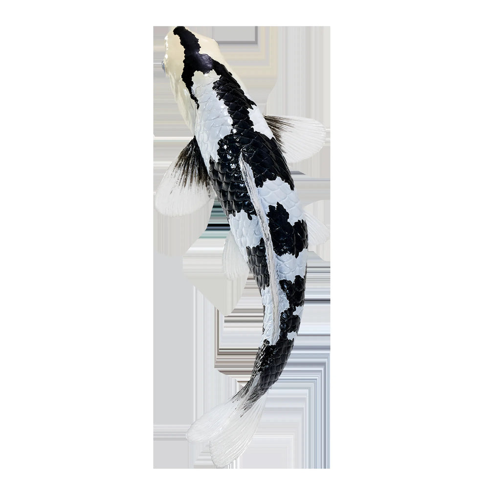Koi karpe sort/hvid figur 12,6 cm – håndmalet plastikmodel til undervisning og samling – Mojo