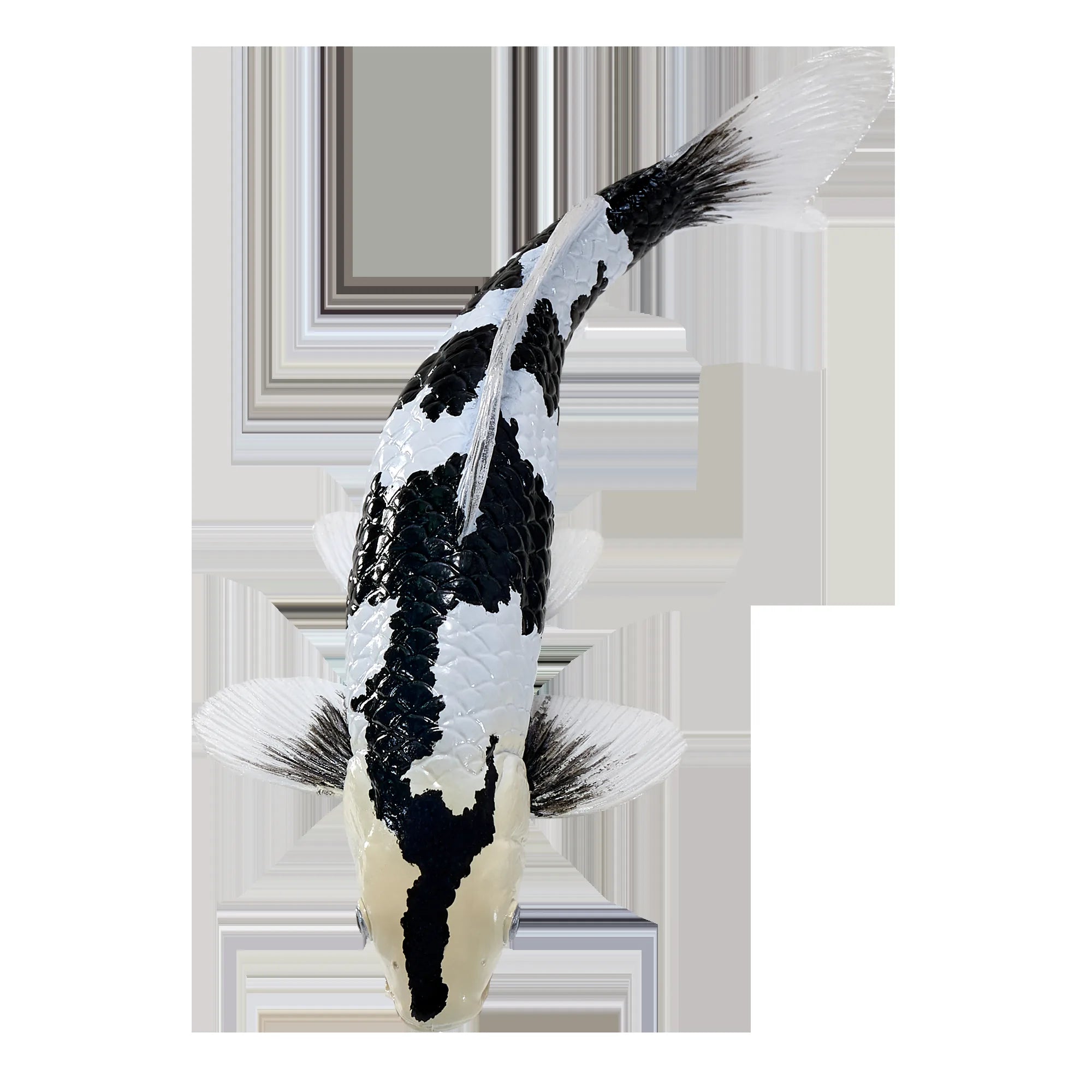 Koi karpe sort/hvid figur 12,6 cm – håndmalet plastikmodel til undervisning og samling – Mojo