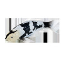 Koi karpe sort/hvid figur 12,6 cm – håndmalet plastikmodel til undervisning og samling – Mojo