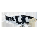 Koi karpe sort/hvid figur 12,6 cm – håndmalet plastikmodel til undervisning og samling – Mojo