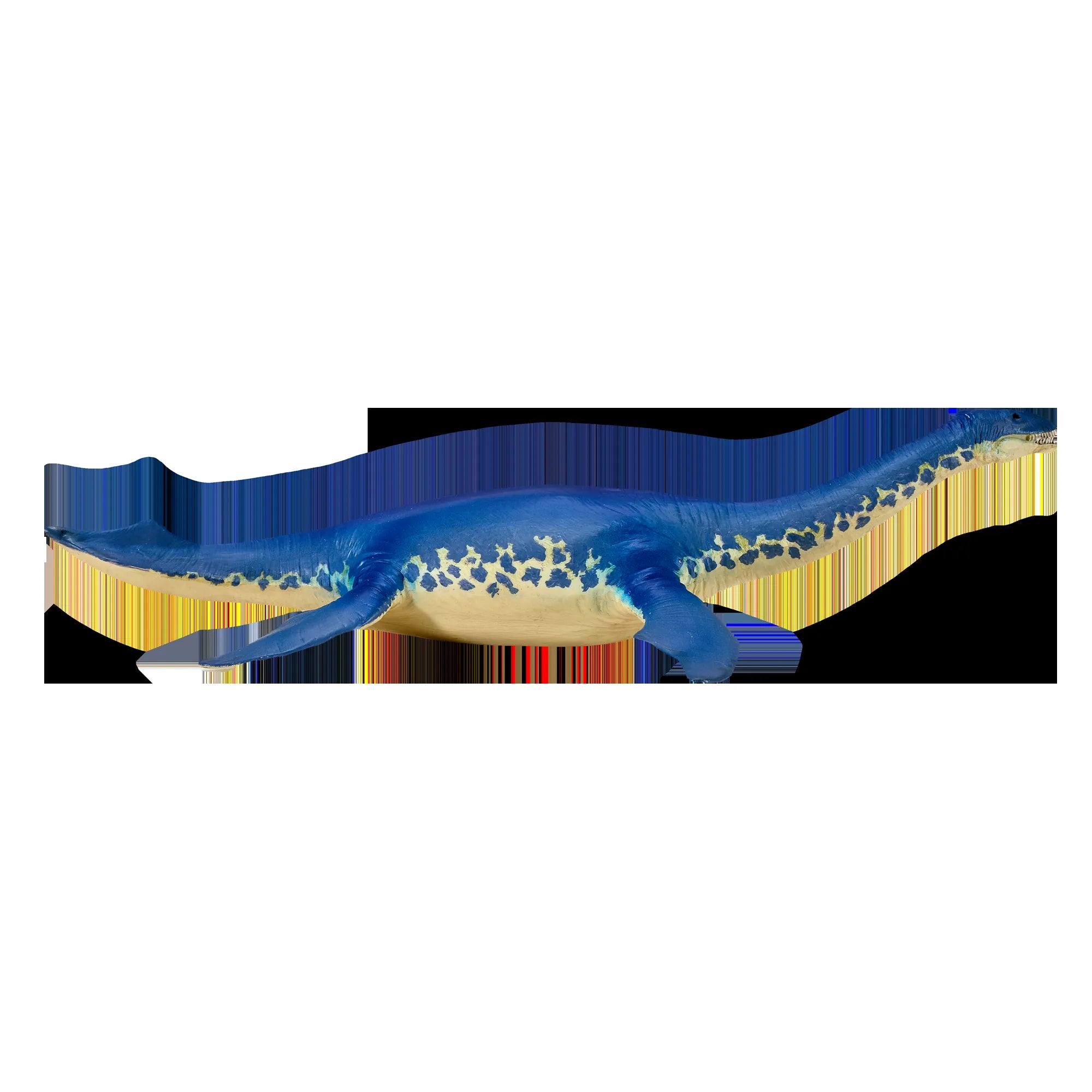 Cryptoclidus legetøjsfigur 24x13 cm – håndmalet naturtro pliosaur, pædagogisk & CE-godkendt – Mojo