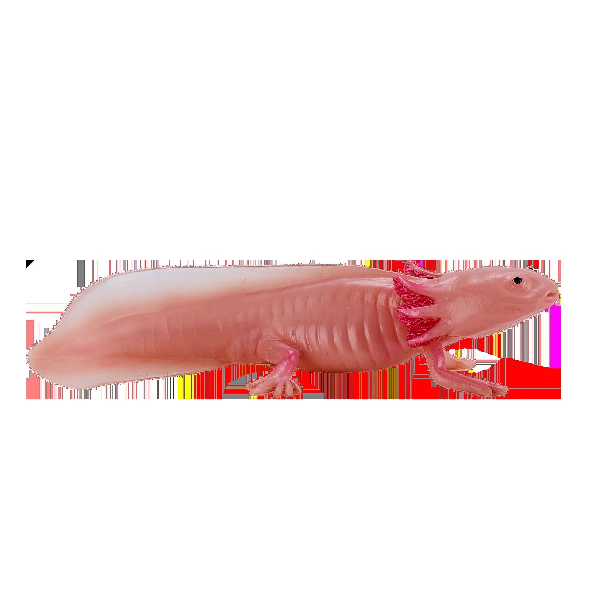 Axolotl halepadde pædagogisk dyrefigur i kunststof, 9,5x6,5 cm – Mojo