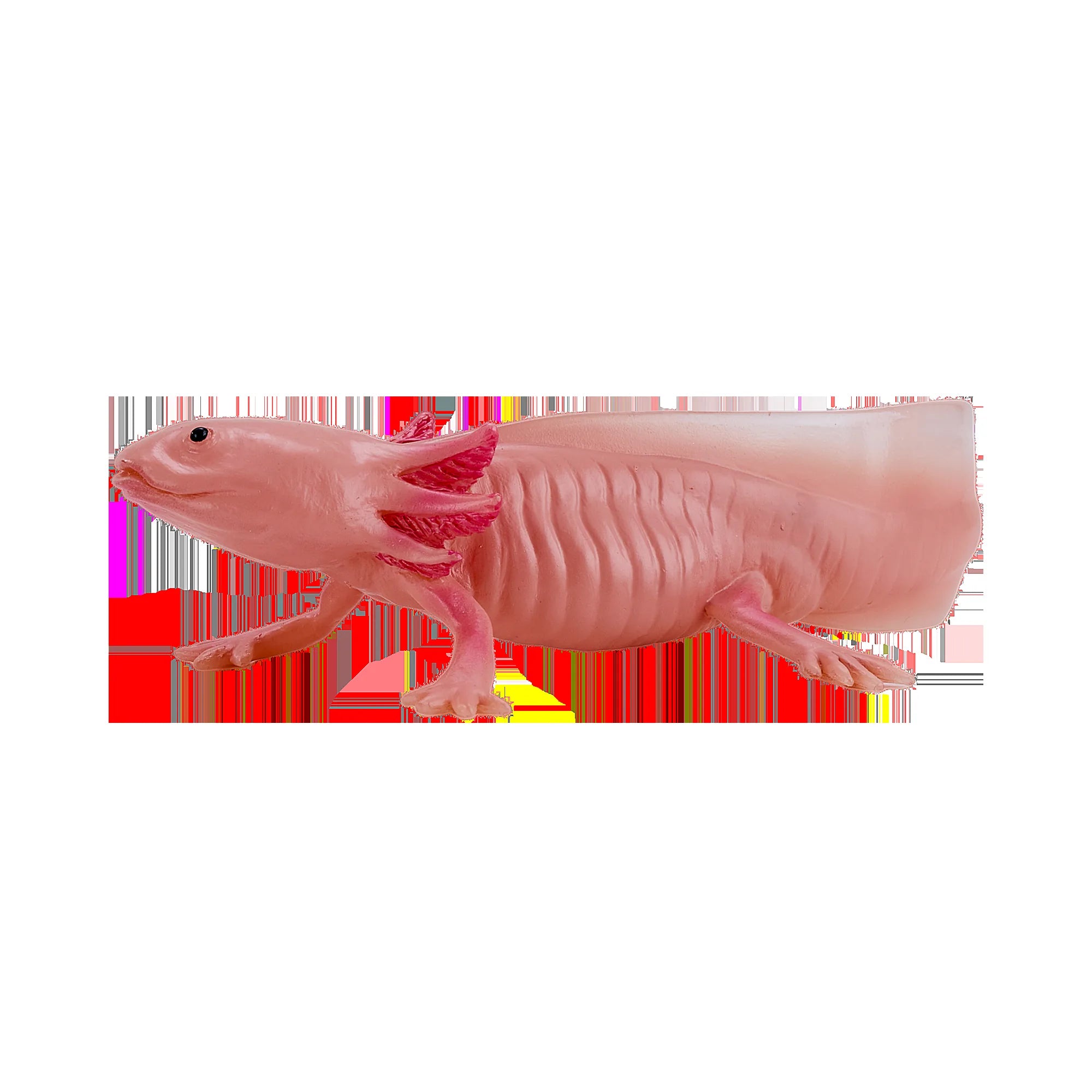 Axolotl halepadde pædagogisk dyrefigur i kunststof, 9,5x6,5 cm – Mojo