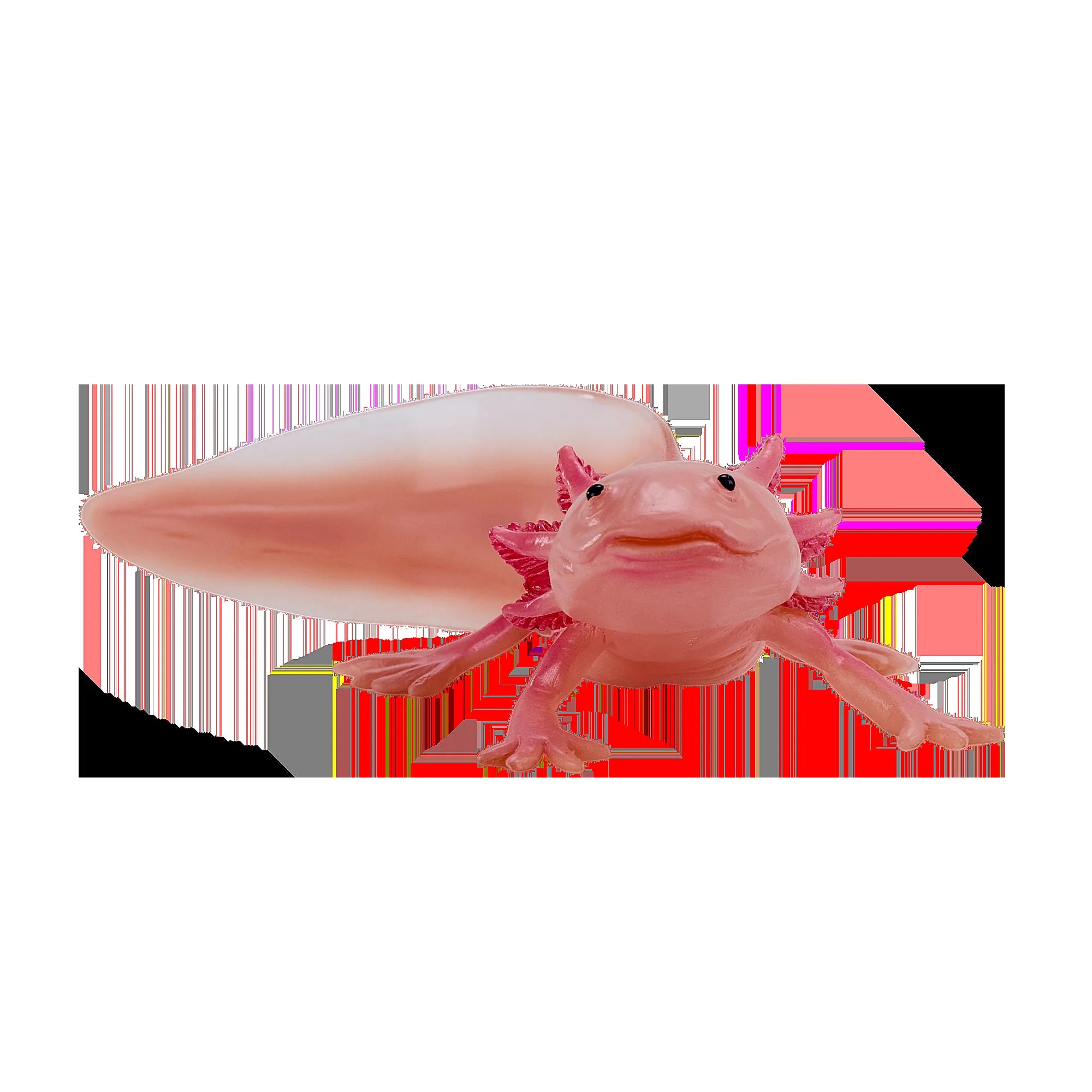 Axolotl halepadde pædagogisk dyrefigur i kunststof, 9,5x6,5 cm – Mojo