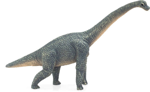 Brachiosaurus legetøjsfigur 21 cm, plastik – sikker for børn 3+ år, Mojo