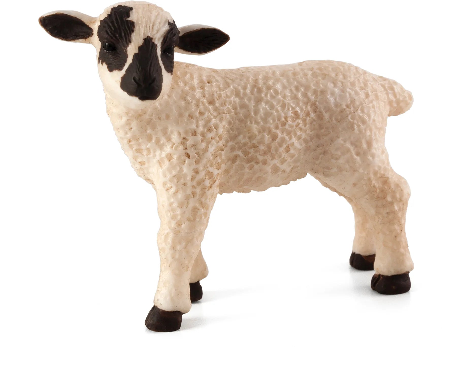 Lam Med Sort Hovedet – stående – Mojo