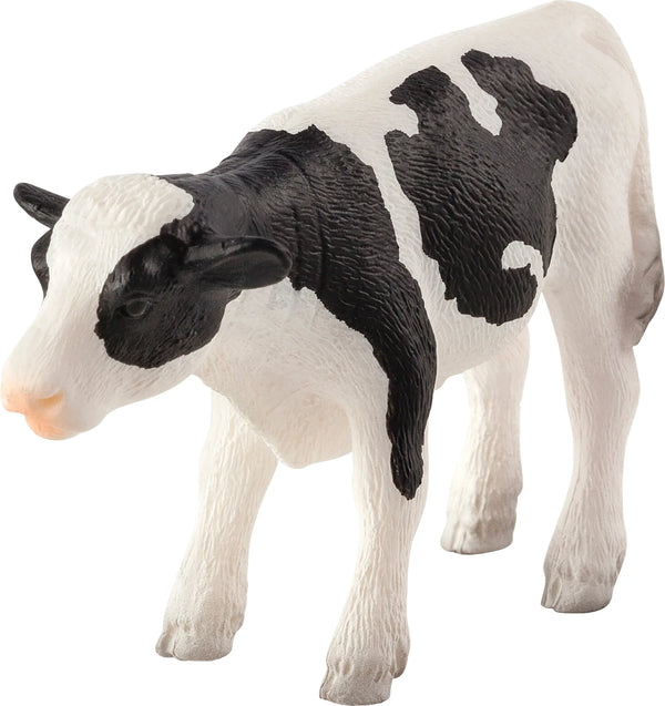 Holstein Kalv – stående – Mojo