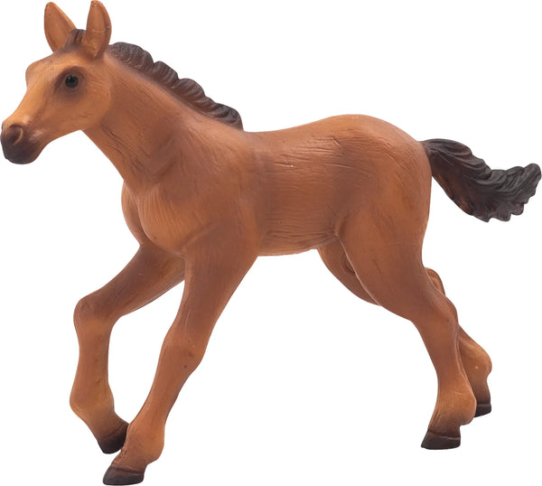 Hannoverian Føl – Løbende – Mojo