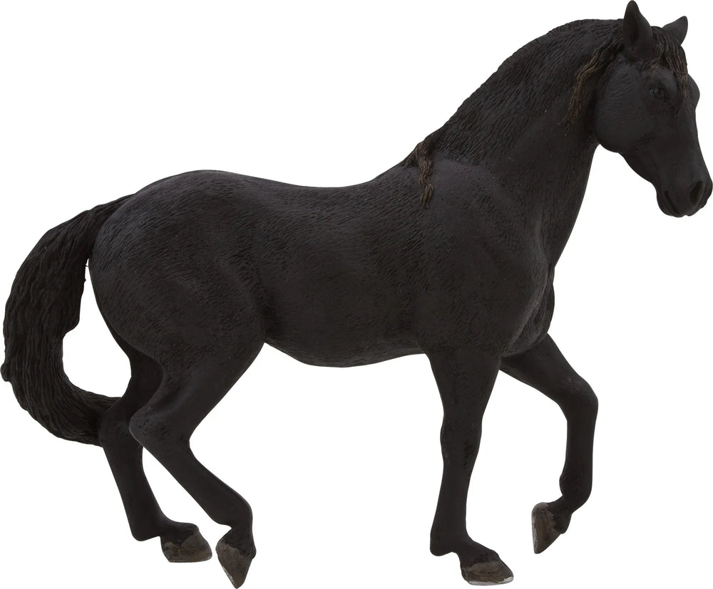 Andalusisk Hingst – Sort – Mojo