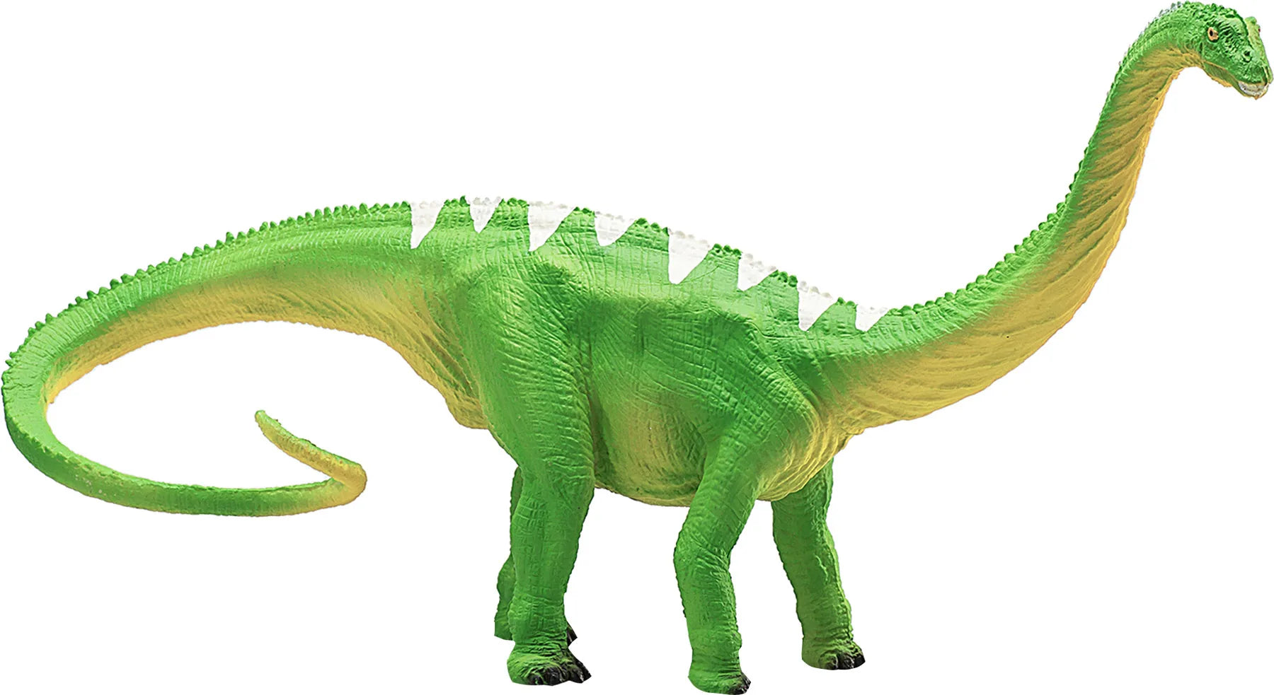 Diplodocus legetøjsfigur 27x8x13 cm – anatomisk model til børn fra 3 år, phthalatfri – Mojo