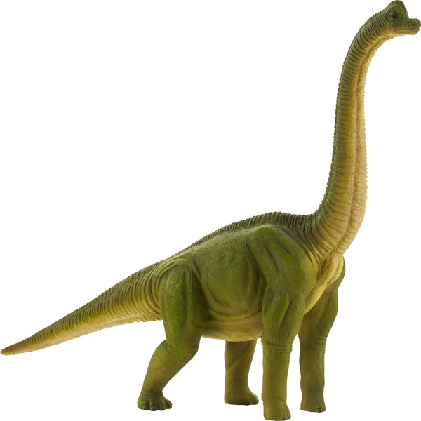 Brachiosaurus legetøjsfigur 22 cm, phthalatfri kunststof til børn 3+ – Mojo