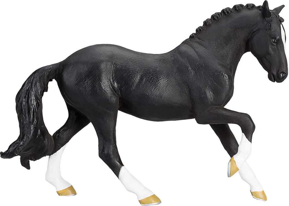 Hanoverian Black Portugal – Mojo