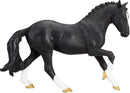 Hanoverian Black Portugal – Mojo