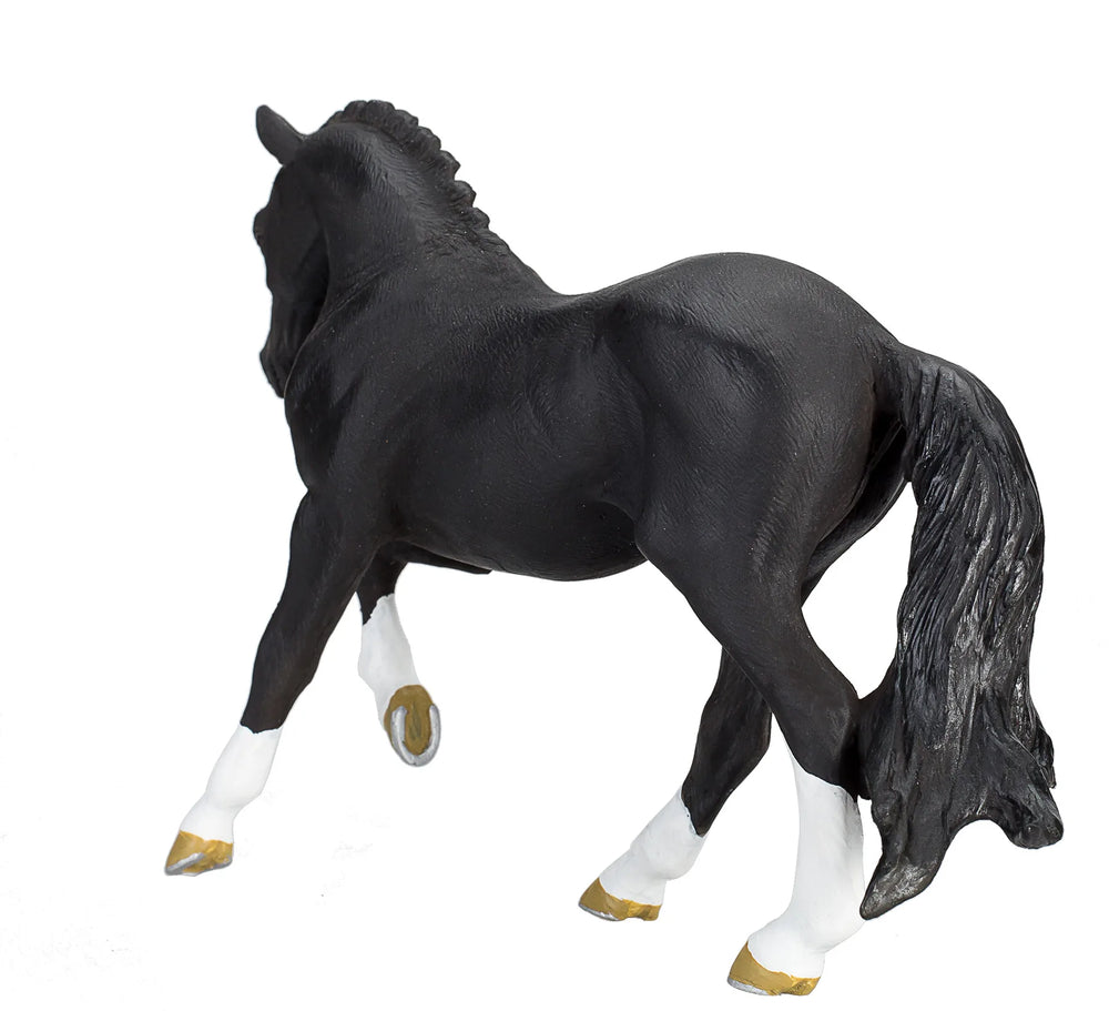Hanoverian Black Portugal – Mojo